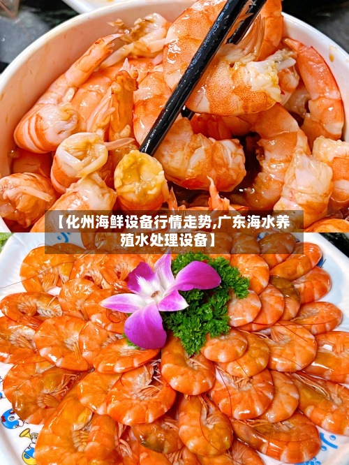 【化州海鲜设备行情走势,广东海水养殖水处理设备】