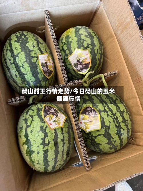 砀山甜王行情走势/今日砀山的玉米费用最新行情