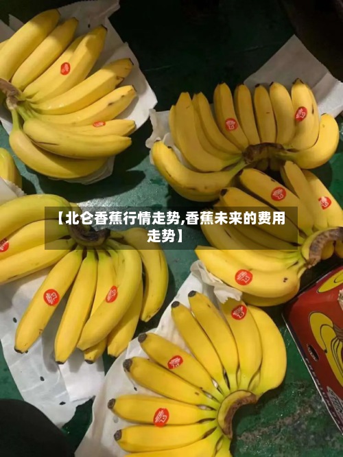 【北仑香蕉行情走势,香蕉未来的费用走势】