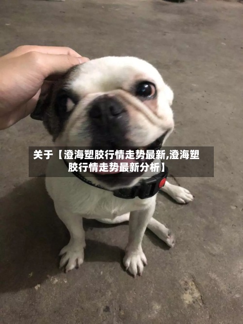 关于【澄海塑胶行情走势最新,澄海塑胶行情走势最新分析】