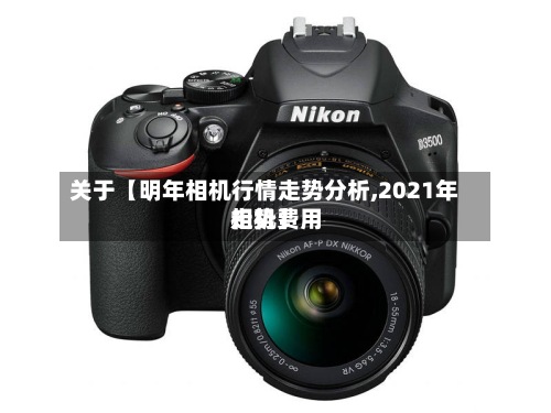 关于【明年相机行情走势分析,2021年相机费用走势】-第2张图片