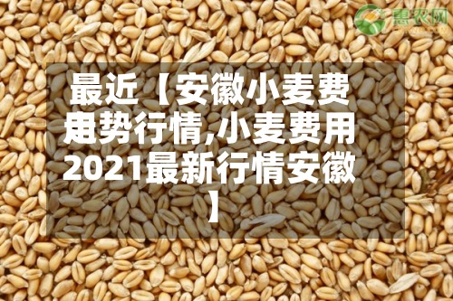 最近【安徽小麦费用走势行情,小麦费用2021最新行情安徽】-第2张图片