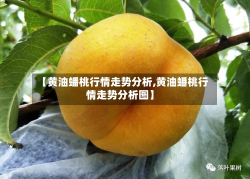 【黄油蟠桃行情走势分析,黄油蟠桃行情走势分析图】