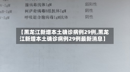 【黑龙江新增本土确诊病例29例,黑龙江新增本土确诊病例29例最新消息】-第2张图片