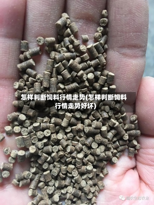 怎样判断饲料行情走势(怎样判断饲料行情走势好坏)