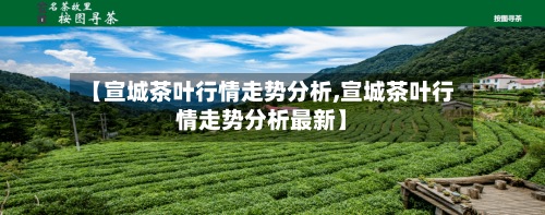 【宣城茶叶行情走势分析,宣城茶叶行情走势分析最新】-第2张图片