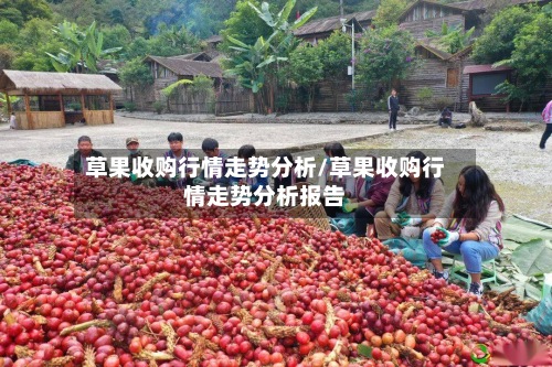 草果收购行情走势分析/草果收购行情走势分析报告-第2张图片