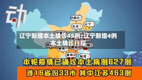 辽宁新增本土确诊45例/辽宁新增4例本土确诊行程