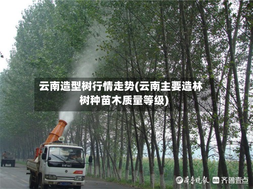 云南造型树行情走势(云南主要造林树种苗木质量等级)-第3张图片