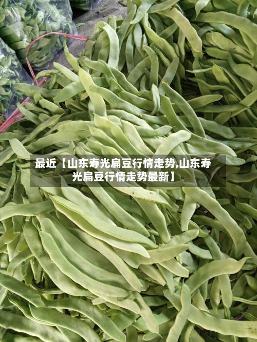 最近【山东寿光扁豆行情走势,山东寿光扁豆行情走势最新】-第2张图片