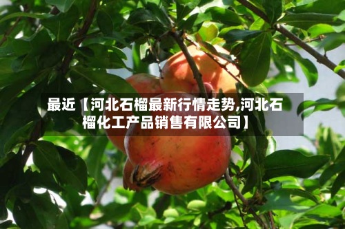 最近【河北石榴最新行情走势,河北石榴化工产品销售有限公司】-第3张图片