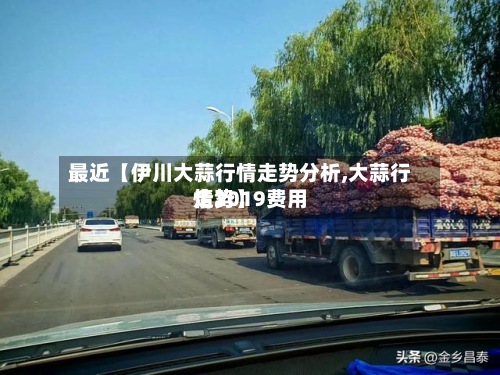 最近【伊川大蒜行情走势分析,大蒜行情2019费用走势】-第2张图片