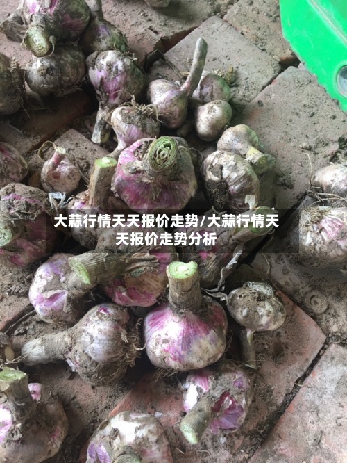 大蒜行情天天报价走势/大蒜行情天天报价走势分析
