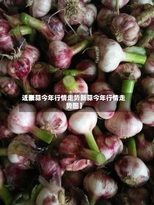 近来【新蒜今年行情走势新蒜今年行情走势图】-第2张图片
