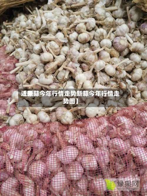 近来【新蒜今年行情走势新蒜今年行情走势图】-第3张图片