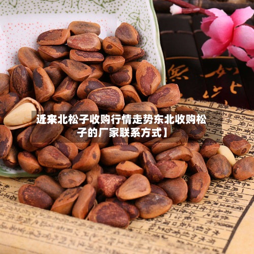 近来【东北松子收购行情走势东北收购松子的厂家联系方式】
