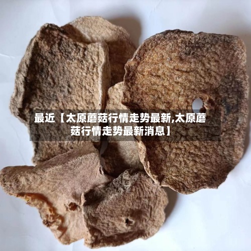 最近【太原蘑菇行情走势最新,太原蘑菇行情走势最新消息】-第2张图片