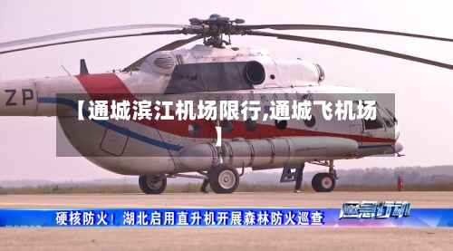 【通城滨江机场限行,通城飞机场】
