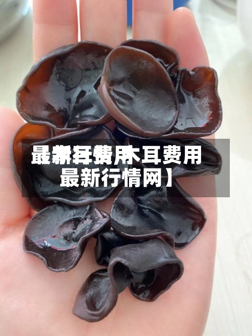 【木耳费用最新行情,木耳费用最新行情网】-第2张图片