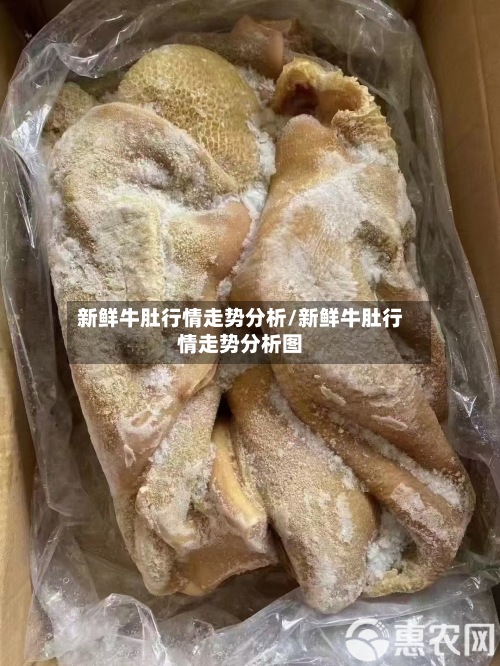新鲜牛肚行情走势分析/新鲜牛肚行情走势分析图