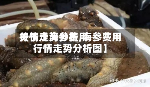 关于【海参费用行情走势分析,海参费用行情走势分析图】-第2张图片