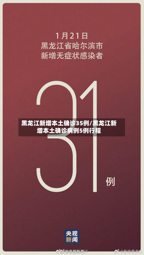 黑龙江新增本土确诊35例/黑龙江新增本土确诊病例5例行程-第2张图片