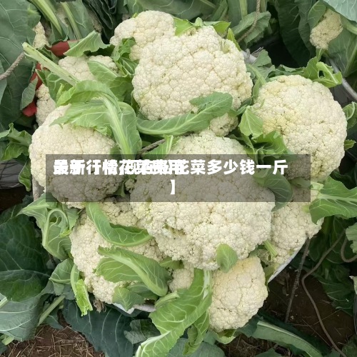 关于【松花菜费用最新行情,现在松花菜多少钱一斤】