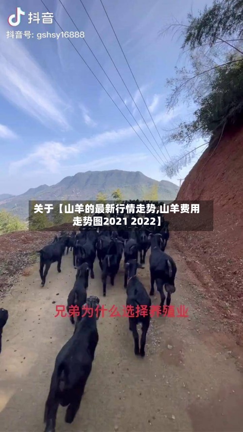 关于【山羊的最新行情走势,山羊费用走势图2021 2022】-第2张图片