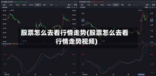 股票怎么去看行情走势(股票怎么去看行情走势视频)