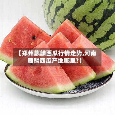 【郑州麒麟西瓜行情走势,河南麒麟西瓜产地哪里?】