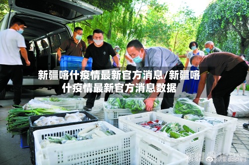 新疆喀什疫情最新官方消息/新疆喀什疫情最新官方消息数据-第2张图片
