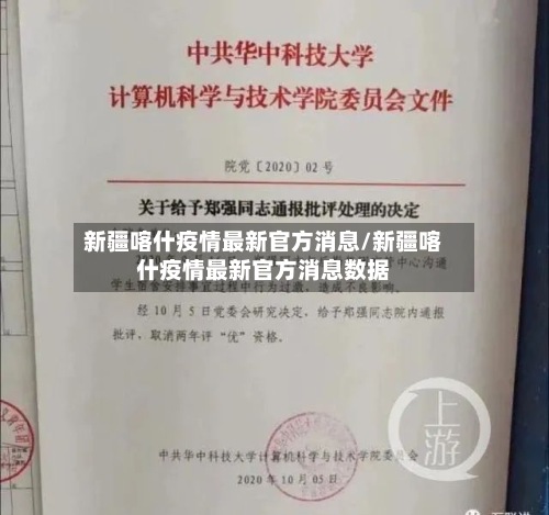 新疆喀什疫情最新官方消息/新疆喀什疫情最新官方消息数据-第3张图片