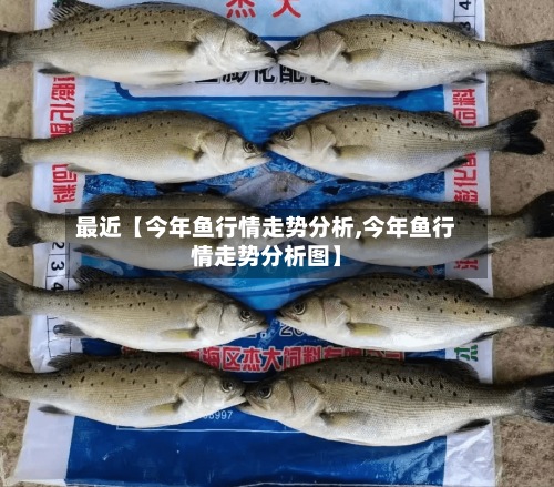 最近【今年鱼行情走势分析,今年鱼行情走势分析图】