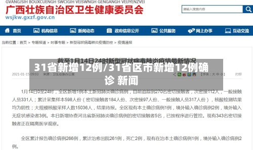 31省新增12例/31省区市新增12例确诊 新闻-第2张图片