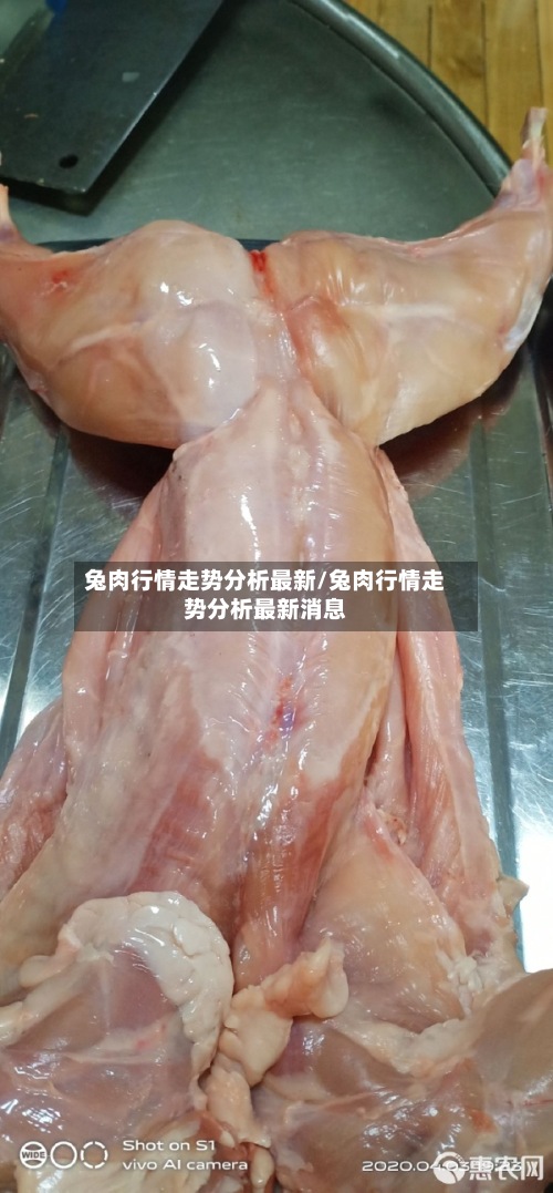 兔肉行情走势分析最新/兔肉行情走势分析最新消息-第2张图片