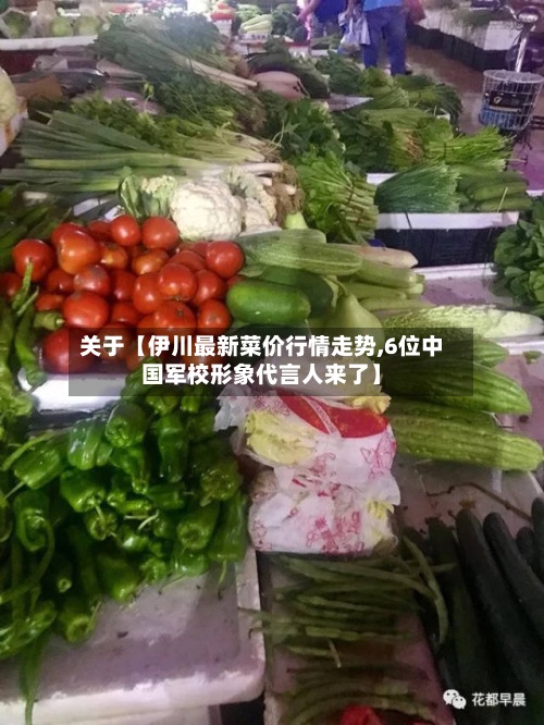 关于【伊川最新菜价行情走势,6位中国军校形象代言人来了】