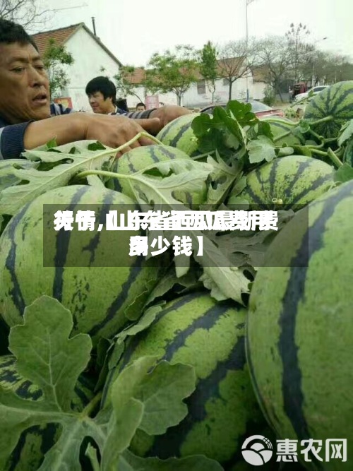关于【山东省西瓜费用行情,山东省西瓜最新费用多少钱】-第2张图片
