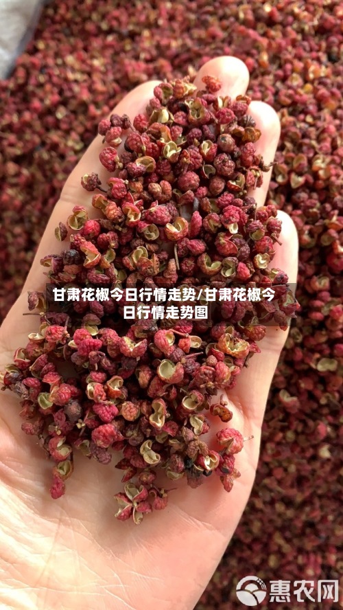 甘肃花椒今日行情走势/甘肃花椒今日行情走势图-第2张图片