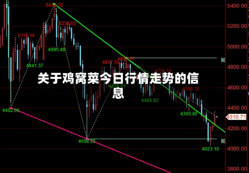 关于鸡窝菜今日行情走势的信息