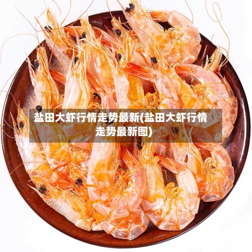 盐田大虾行情走势最新(盐田大虾行情走势最新图)