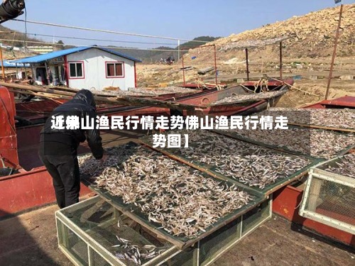 近来【佛山渔民行情走势佛山渔民行情走势图】-第2张图片