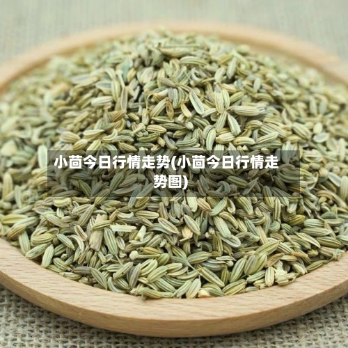 小茴今日行情走势(小茴今日行情走势图)