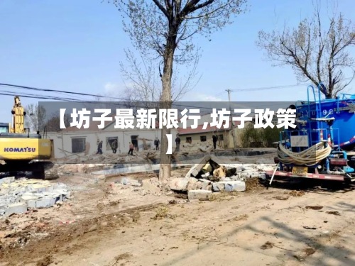 【坊子最新限行,坊子政策】-第2张图片