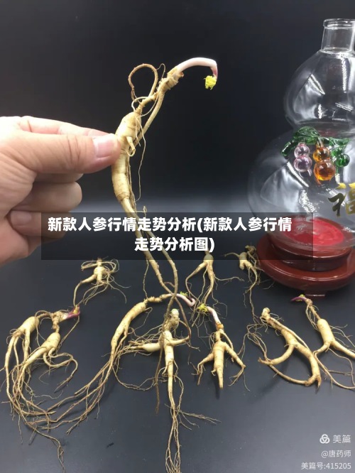 新款人参行情走势分析(新款人参行情走势分析图)