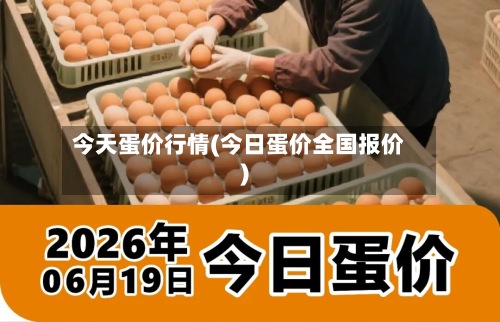 今天蛋价行情(今日蛋价全国报价)