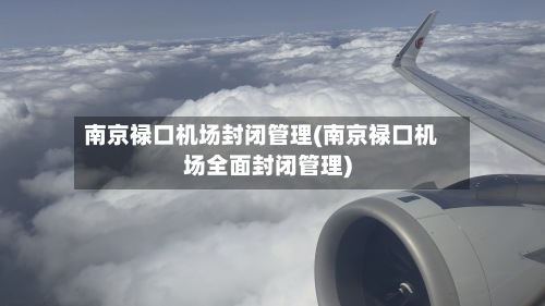 南京禄口机场封闭管理(南京禄口机场全面封闭管理)-第2张图片