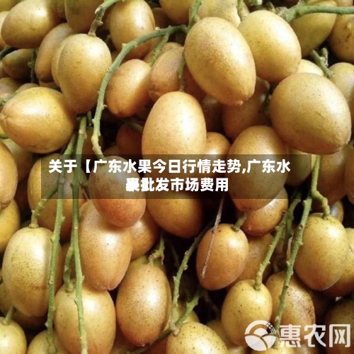关于【广东水果今日行情走势,广东水果批发市场费用表】-第3张图片