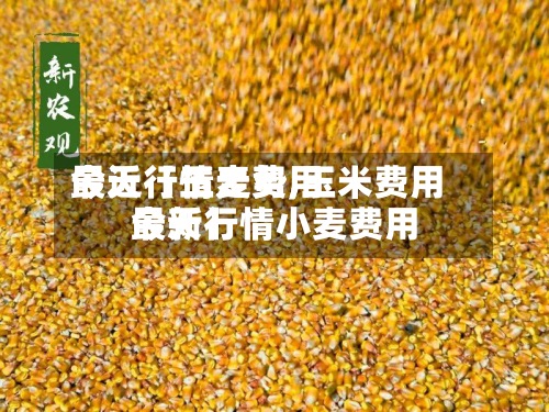 最近【玉麦费用今天行情走势,玉米费用最新行情小麦费用今天】