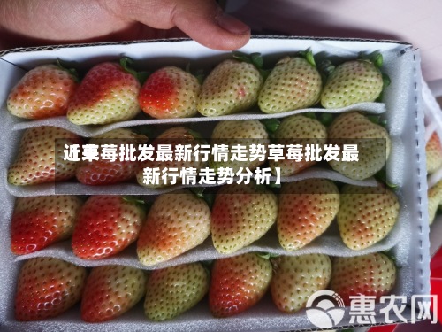 近来【草莓批发最新行情走势草莓批发最新行情走势分析】-第3张图片