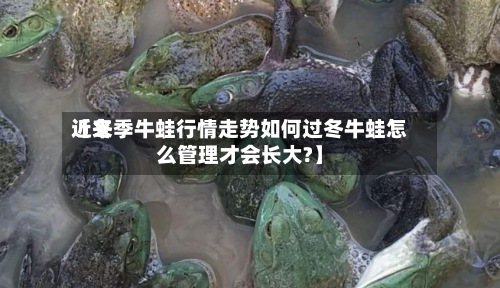 近来【冬季牛蛙行情走势如何过冬牛蛙怎么管理才会长大?】